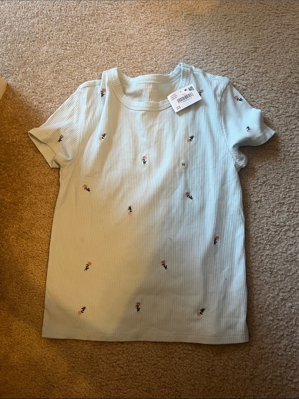 American Eagle Outfitters Light Mint Ribbed Tee with Tiny Floral Embroidery